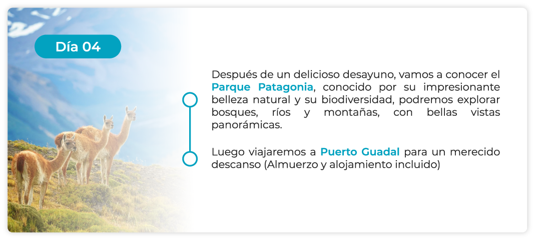 LPT-ITINERARIO-4